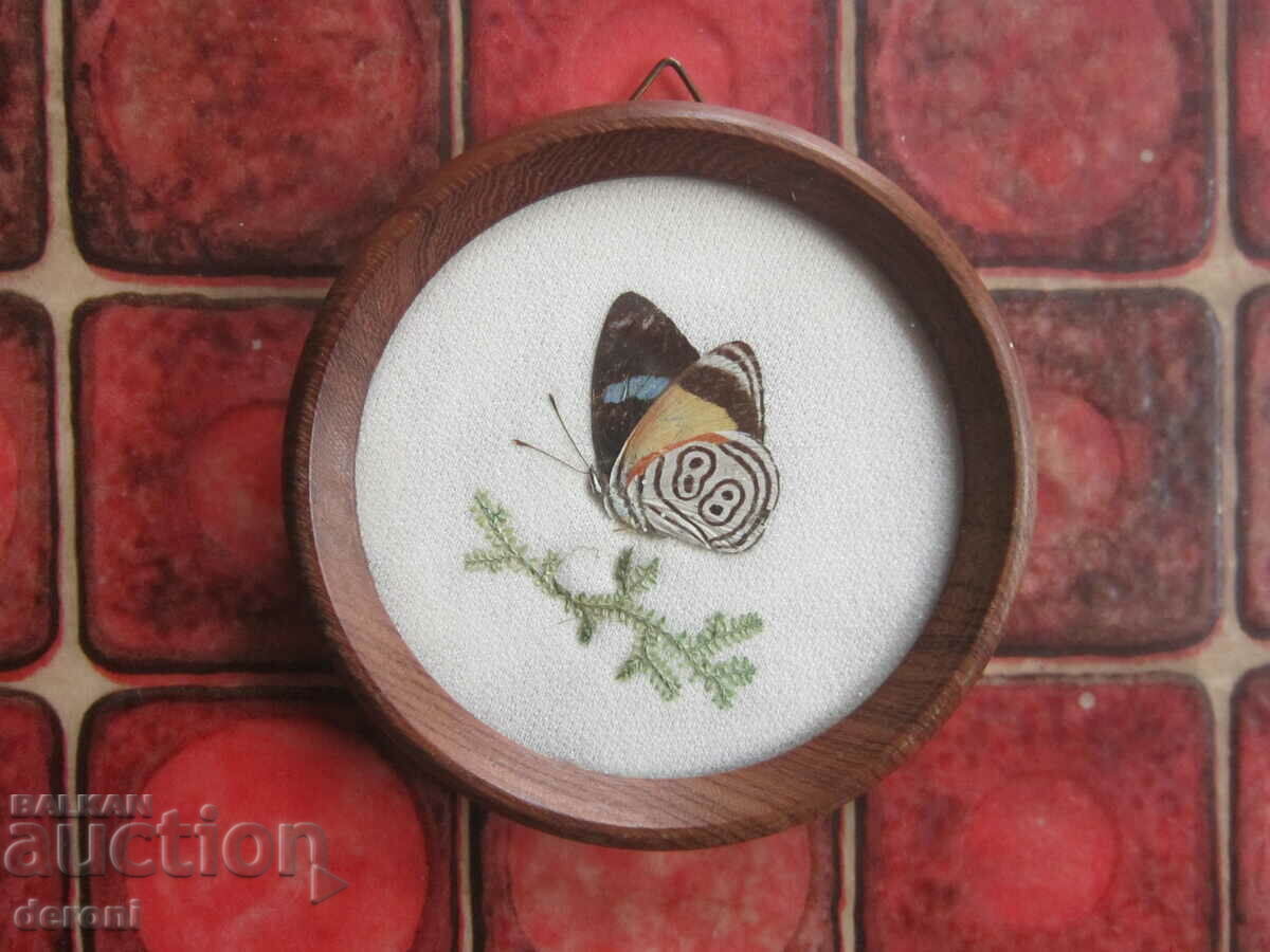 Brazilian Art Painting - 6