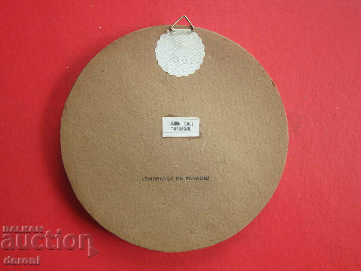 Auction Brazilian Art Painting 3 Auction Brazilian Art Painting 3