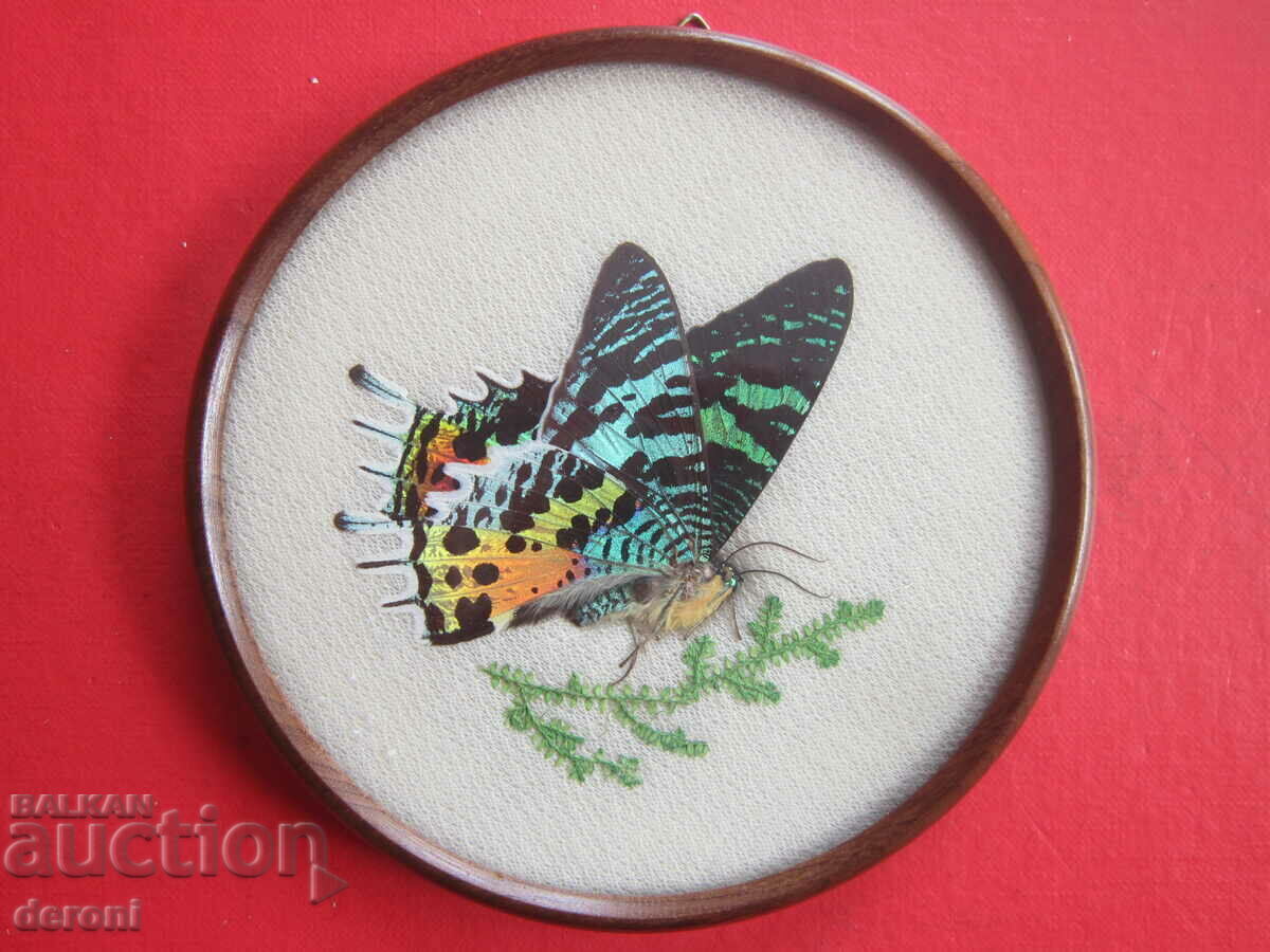 Brazilian Art Painting 3 - 5 Brazilian Art Painting 3 - 5