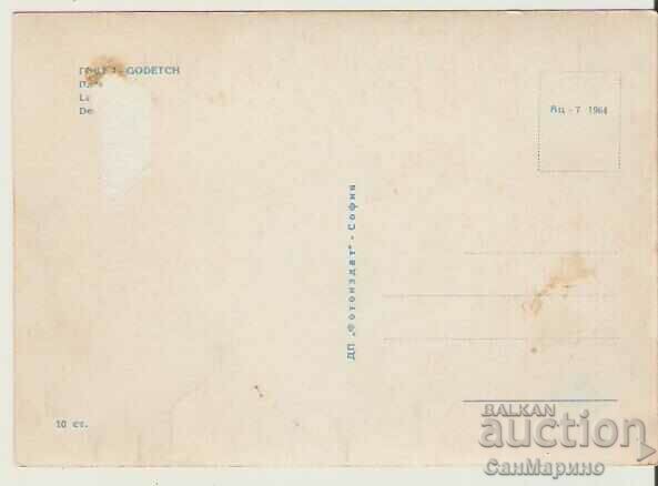 Map Bulgaria Godech Square * with price 0.90 BGN | € 0.46