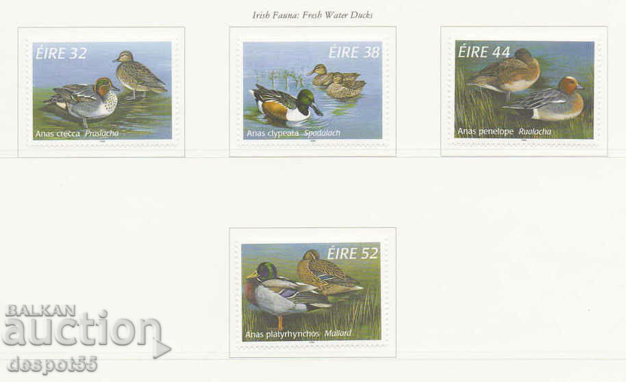 1996. Eire. Birds - freshwater ducks.