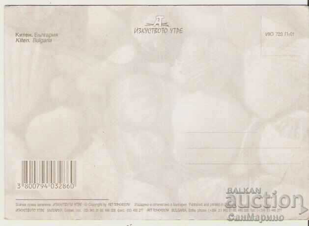 Card Bulgaria Kiten 6 * with price 0.70 BGN | € 0.36 Card Bulgaria Kiten 6 * with price 0.70 BGN | € 0.36