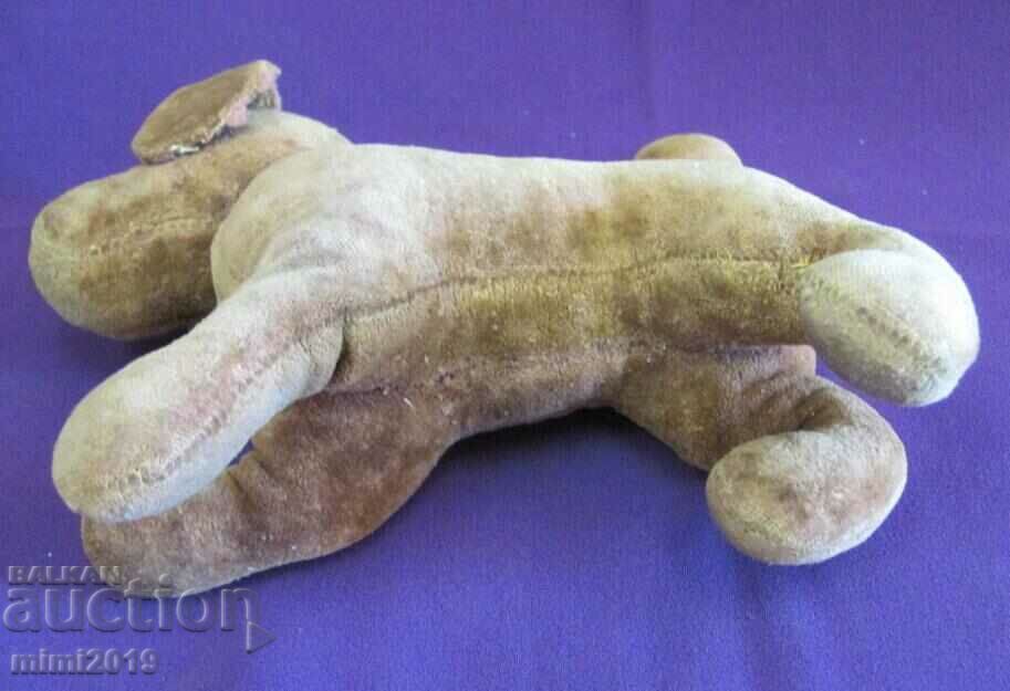 Σκύλος παιχνιδιών του 19ου αιώνα - 5 Σκύλος παιχνιδιών του 19ου αιώνα - 5