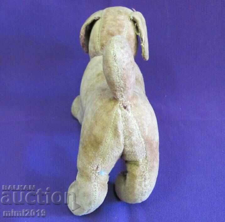 Σκύλος παιχνιδιών του 19ου αιώνα - 6 Σκύλος παιχνιδιών του 19ου αιώνα - 6