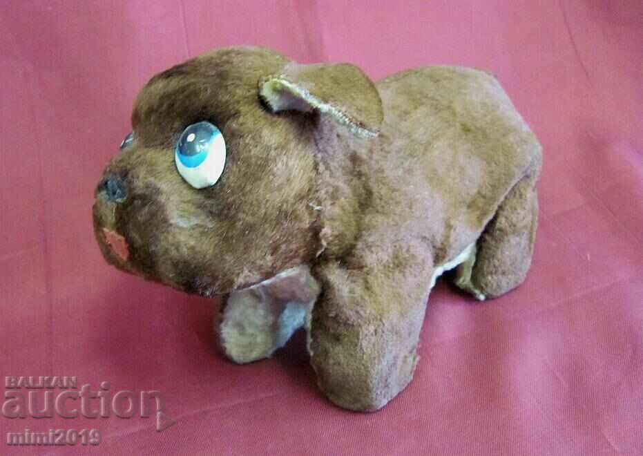 Vintage Toy Dog - 5 Vintage Toy Dog - 5