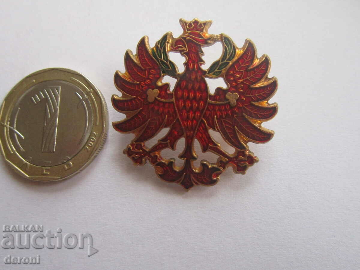 Χάλκινο σήμα αετού σμάλτο - 5