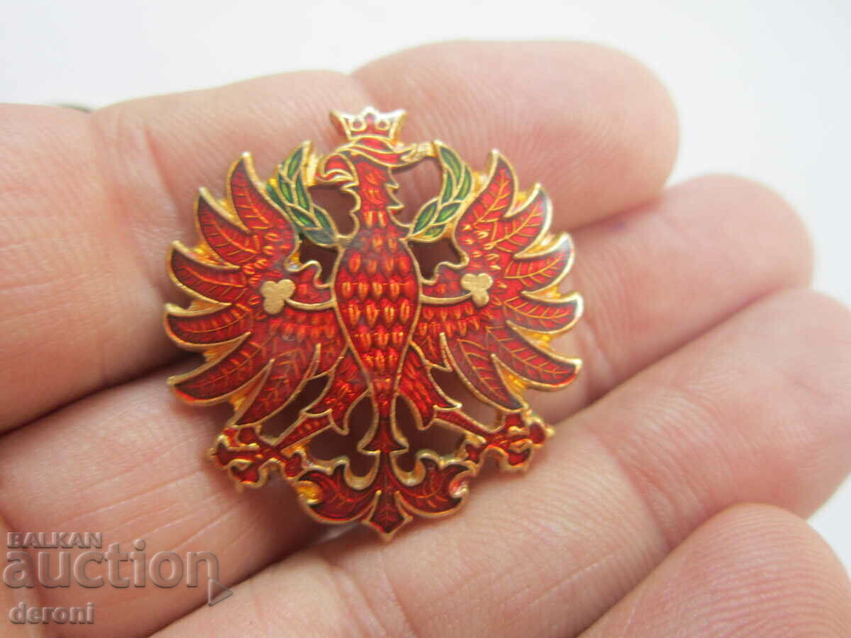 Χάλκινο σήμα αετού σμάλτο - 6