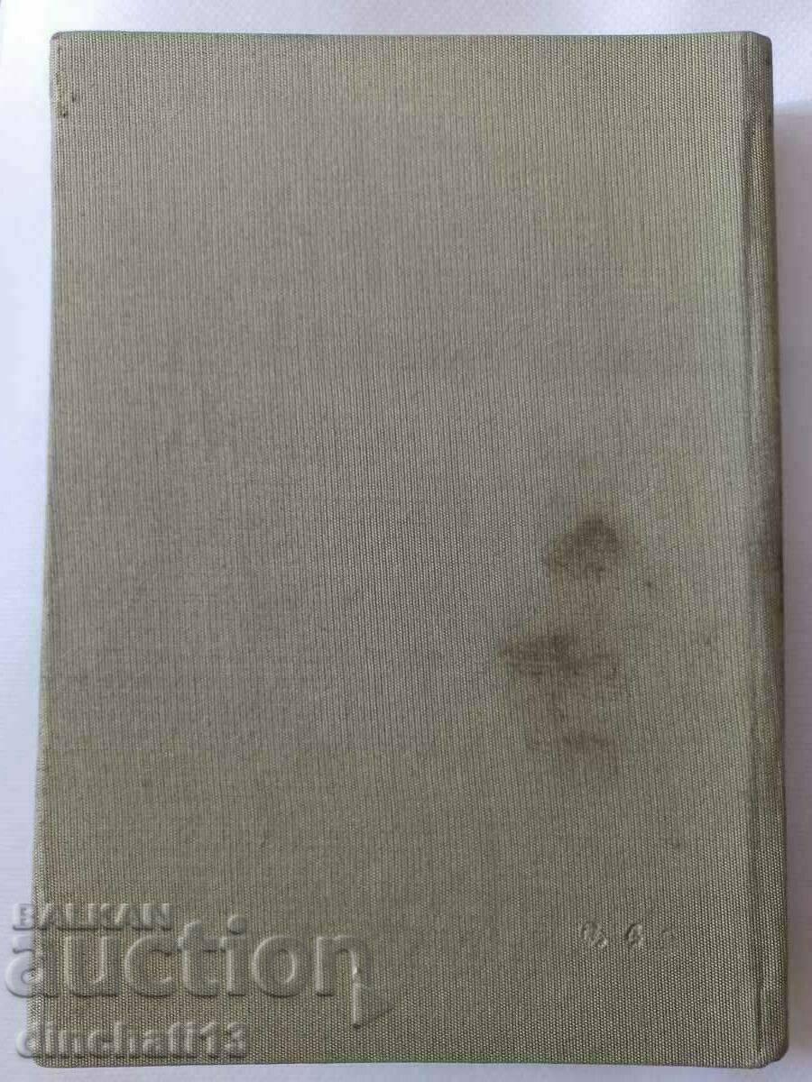 Auction  Clinical nephrology