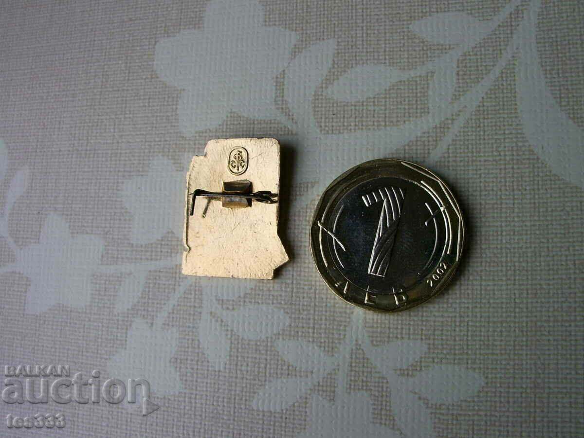 Licitație Pictograma categoriei Tineret I