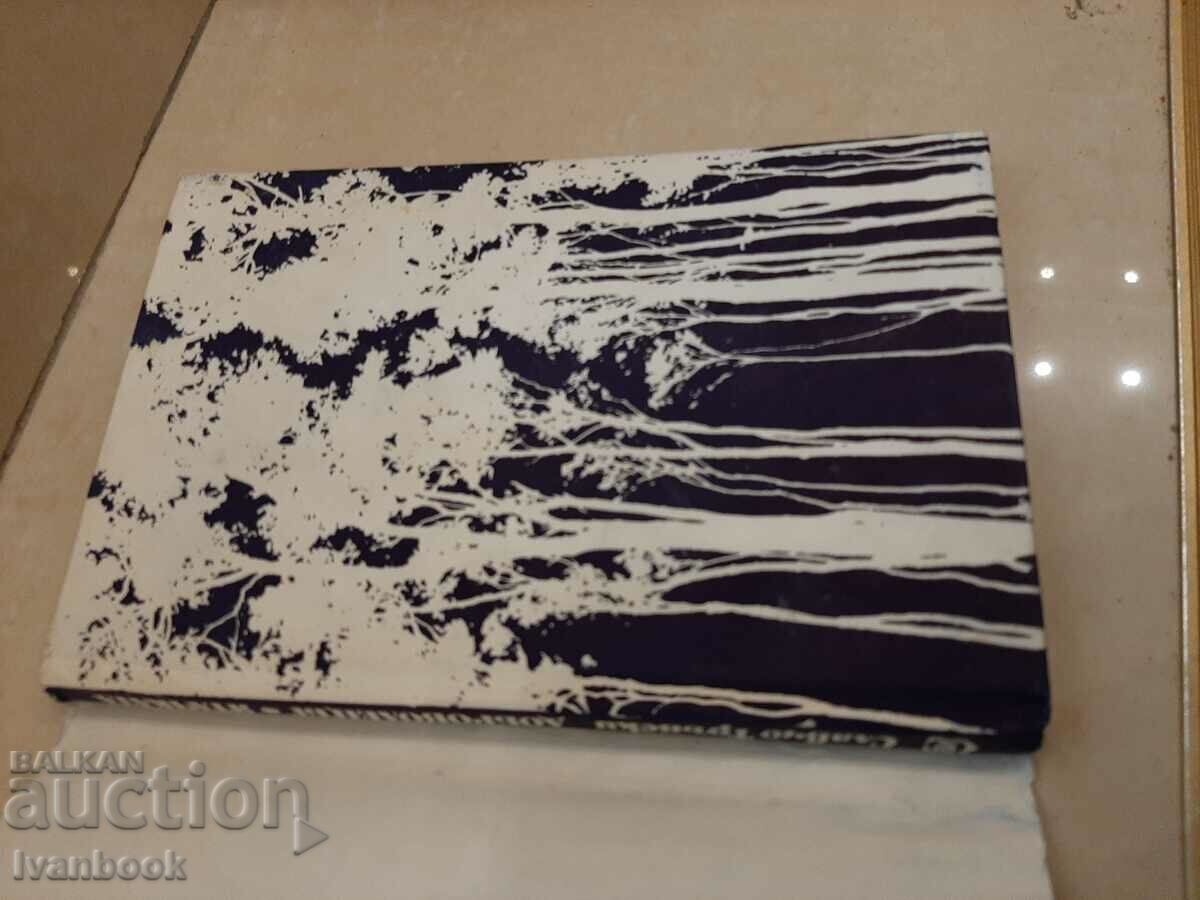 Auction Slavcho Transki - The Volunteer - The Catcher Auction Slavcho Transki - The Volunteer - The Catcher