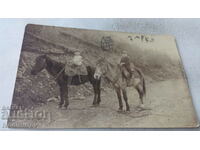 Снимка Две малки момчета на коне