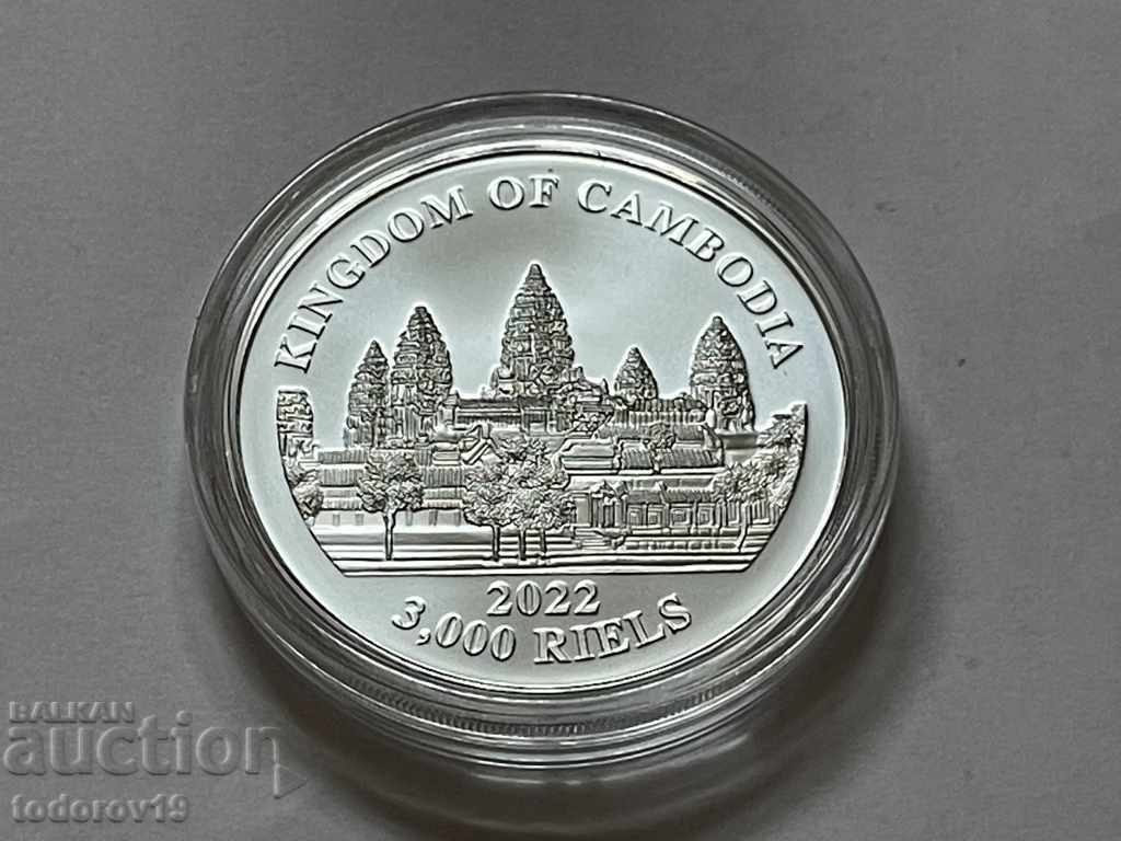 Delivery of Lost Tigers Cambodia 2022 1 oz Silver Coin