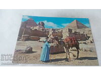 Carte poștală Giza Sfinxul și Piramida Keops 1976