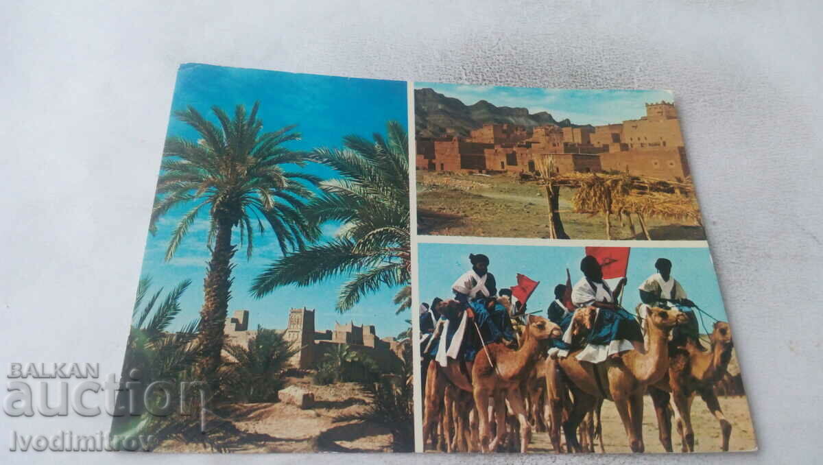 Carte poștală Sud Marocain Collage 1985