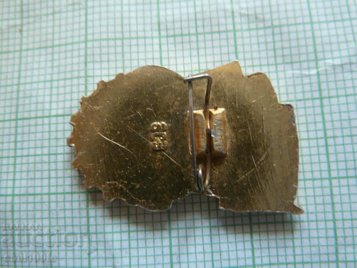 Delivery of Icon - TRP Ready for work and defense Delivery of Icon - TRP Ready for work and defense