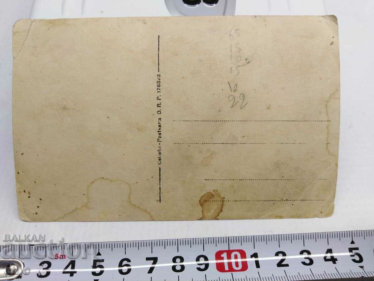 Livrarea PSV ROYAL FOTO, CARBĂ, PUC, ureche