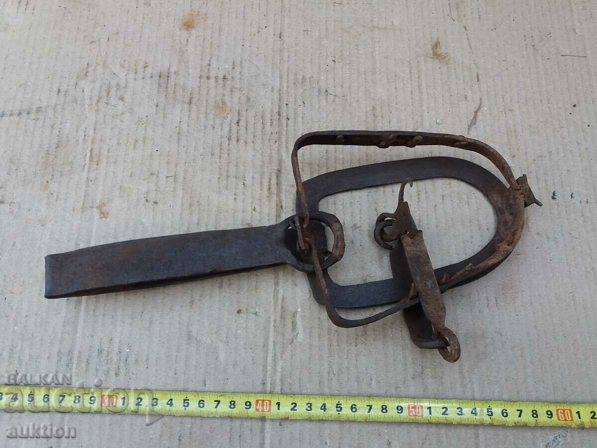 ΕΞΑΙΡΕΤΙΚΗ ΣΦΥΡΗΤΟΠΟΙΗΜΕΝΗ ΠΑΓΙΔΑ ΑΝΑΓΕΝΝΗΣΗΣ ΓΙΑ ΖΩΑ με τιμή 19.99 BGN | € 10.22