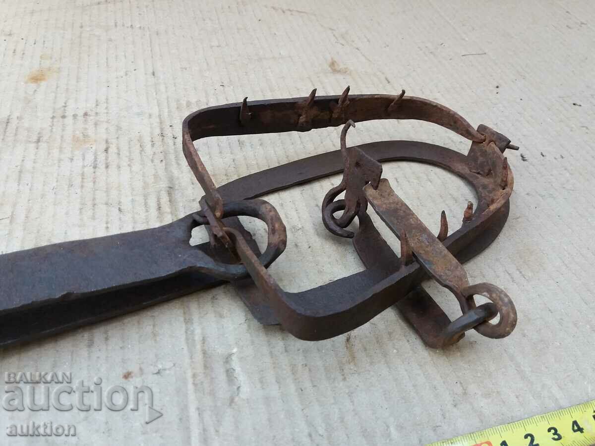 Δημοπρασία ΕΞΑΙΡΕΤΙΚΗ ΣΦΥΡΗΤΟΠΟΙΗΜΕΝΗ ΠΑΓΙΔΑ ΑΝΑΓΕΝΝΗΣΗΣ ΓΙΑ ΖΩΑ