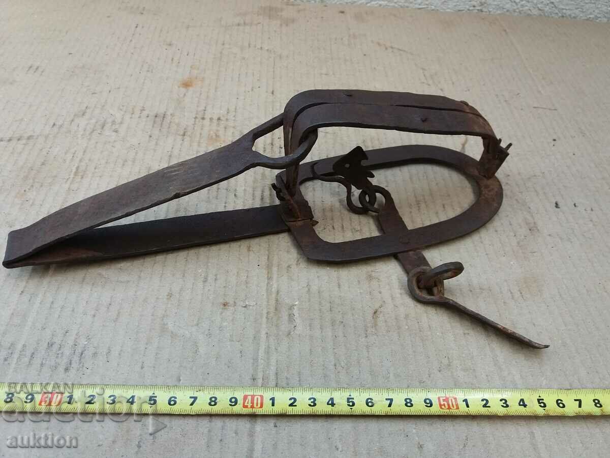 ΕΞΑΙΡΕΤΙΚΗ ΣΦΥΡΗΤΟΠΟΙΗΜΕΝΗ ΠΑΓΙΔΑ ΑΝΑΓΕΝΝΗΣΗΣ ΓΙΑ ΖΩΑ - 5