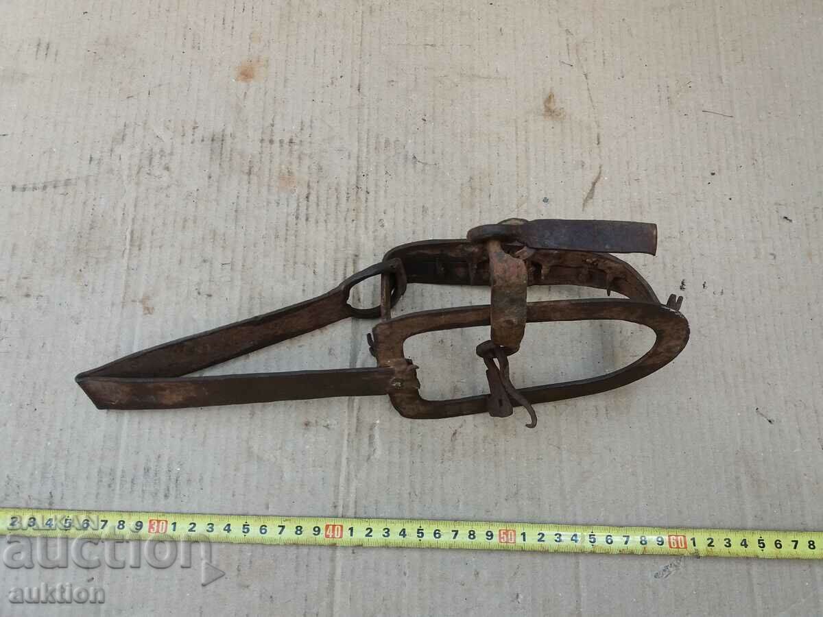 ΕΞΑΙΡΕΤΙΚΗ ΣΦΥΡΗΤΟΠΟΙΗΜΕΝΗ ΠΑΓΙΔΑ ΑΝΑΓΕΝΝΗΣΗΣ ΓΙΑ ΖΩΑ - 6