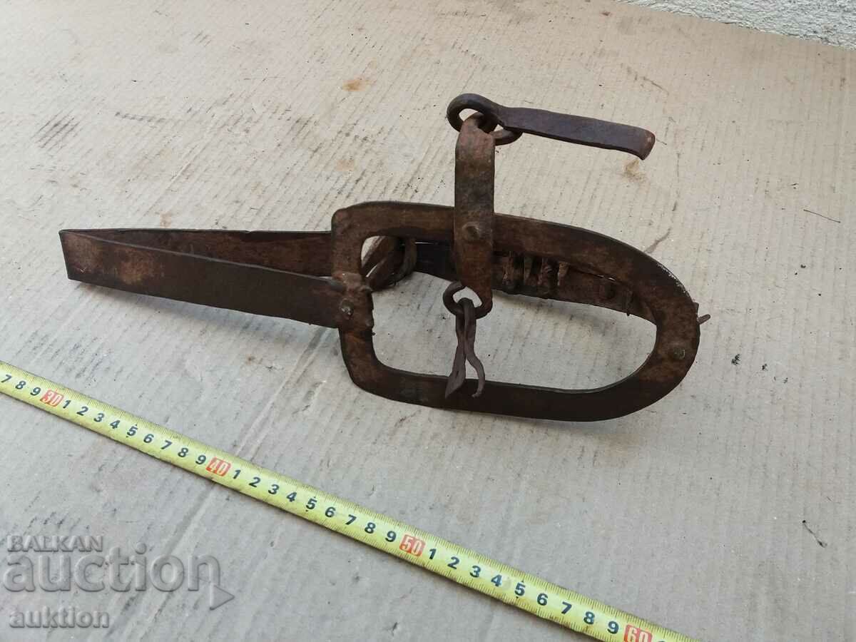 ΕΞΑΙΡΕΤΙΚΗ ΣΦΥΡΗΤΟΠΟΙΗΜΕΝΗ ΠΑΓΙΔΑ ΑΝΑΓΕΝΝΗΣΗΣ ΓΙΑ ΖΩΑ - 7