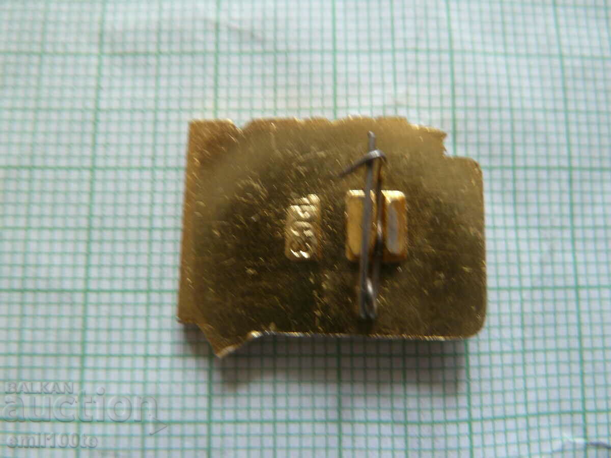 Delivery of Badge - Adolescent second grade Delivery of Badge - Adolescent second grade