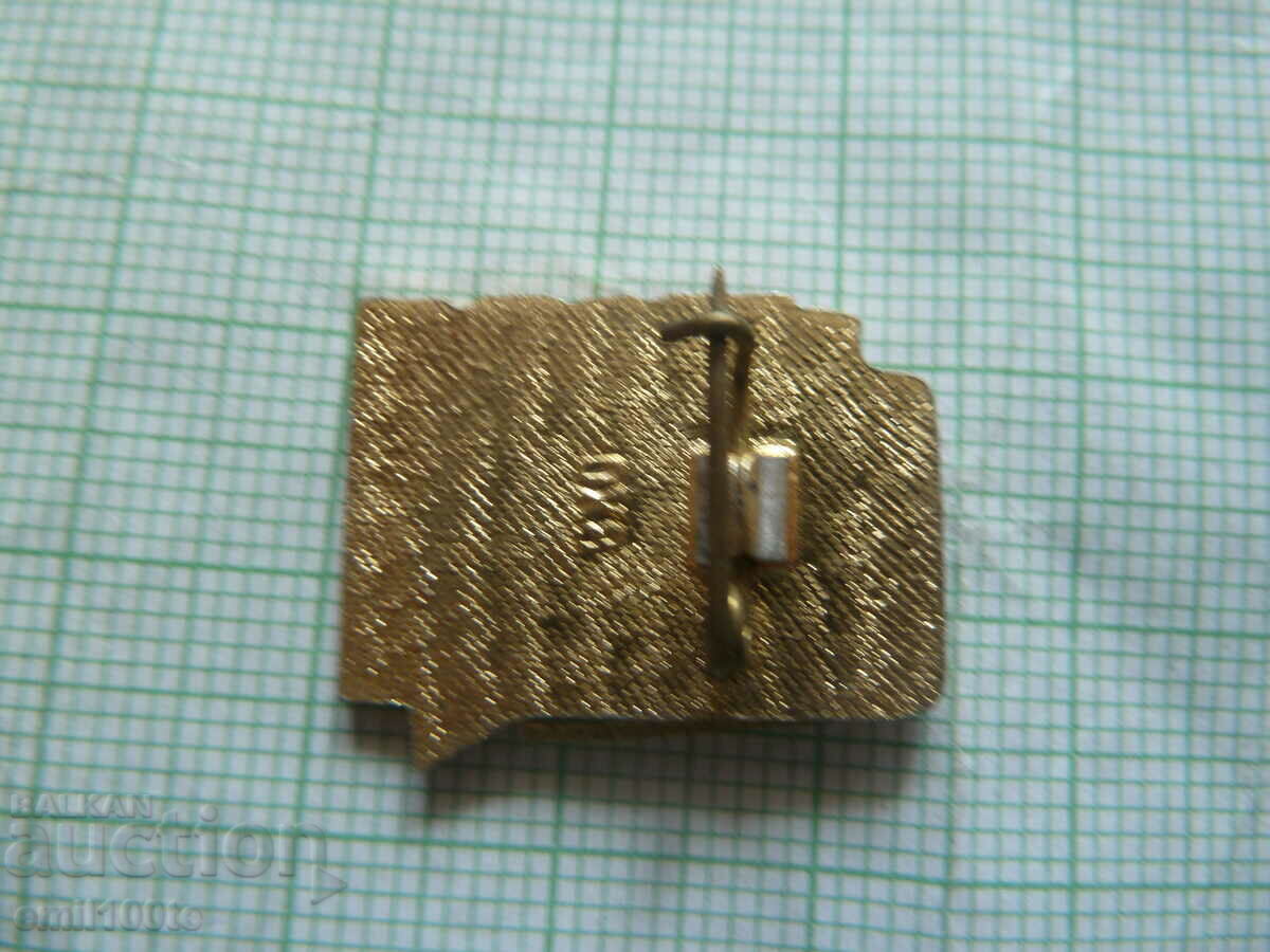 Delivery of Badge - Adolescent third grade Delivery of Badge - Adolescent third grade