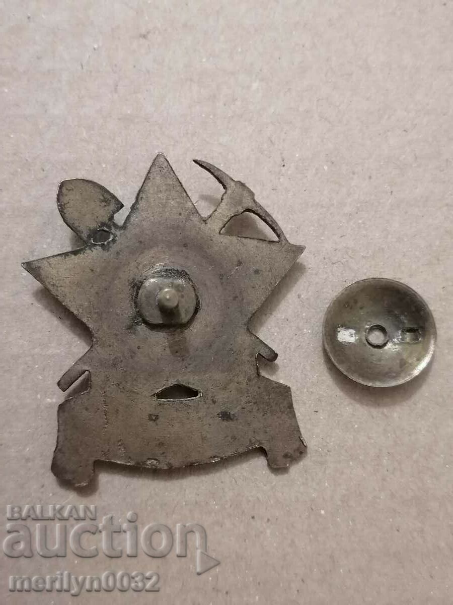 Auction Brigadier badge, badge, medal, distinction Auction Brigadier badge, badge, medal, distinction