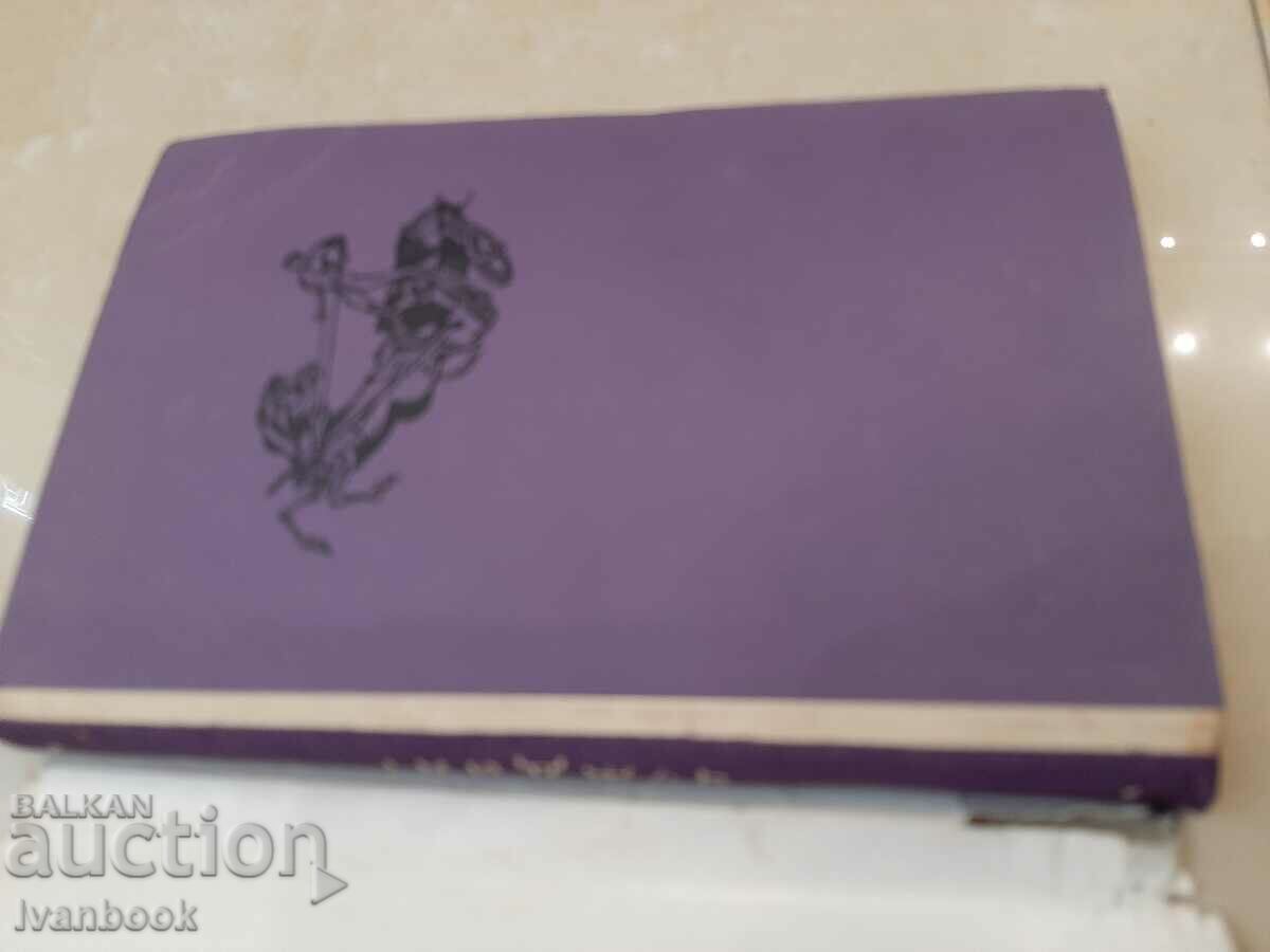 Auction  Library - Reading for teenagers - The stranger