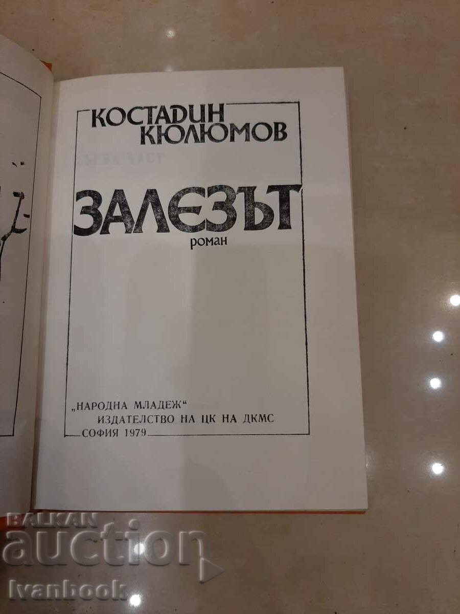 Auction The Sunset - Kostadin Kjuljumov Auction The Sunset - Kostadin Kjuljumov