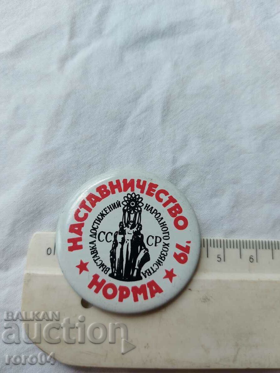 Auction  MENTORING 79 * NORM *