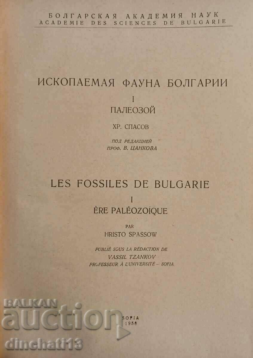 Τα απολιθώματα της Βουλγαρίας. Τόμος 1ος: Παλαιοζωικός - Χρίστο Σπάσοφ με τιμή 100.00 BGN | € 51.13 Τα απολιθώματα της Βουλγαρίας. Τόμος 1ος: Παλαιοζωικός - Χρίστο Σπάσοφ με τιμή 100.00 BGN | € 51.13