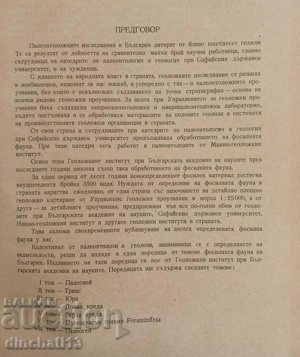 Δημοπρασία Τα απολιθώματα της Βουλγαρίας. Τόμος 1ος: Παλαιοζωικός - Χρίστο Σπάσοφ Δημοπρασία Τα απολιθώματα της Βουλγαρίας. Τόμος 1ος: Παλαιοζωικός - Χρίστο Σπάσοφ