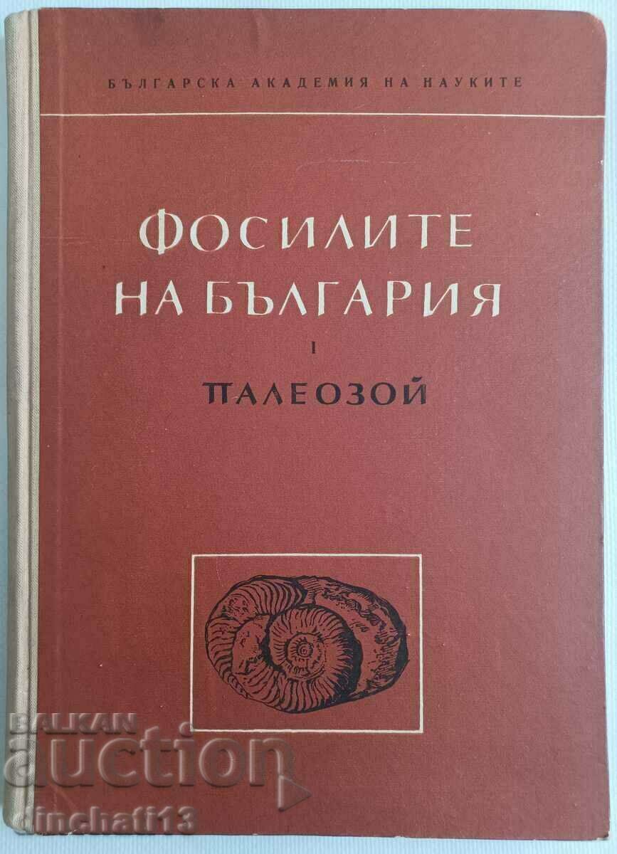 Τα απολιθώματα της Βουλγαρίας. Τόμος 1ος: Παλαιοζωικός - Χρίστο Σπάσοφ