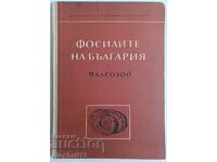 The fossils of Bulgaria. Volume 1: Paleozoic - Hristo Spasov