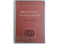 Фосилите на България. Том 1: Палеозой - Христо Спасов