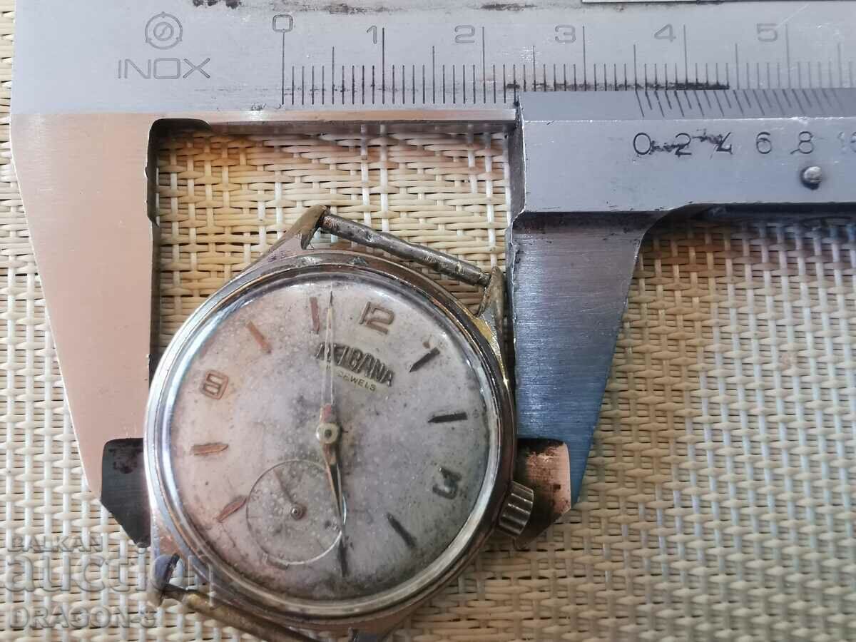 Auction DELBANA Auction DELBANA