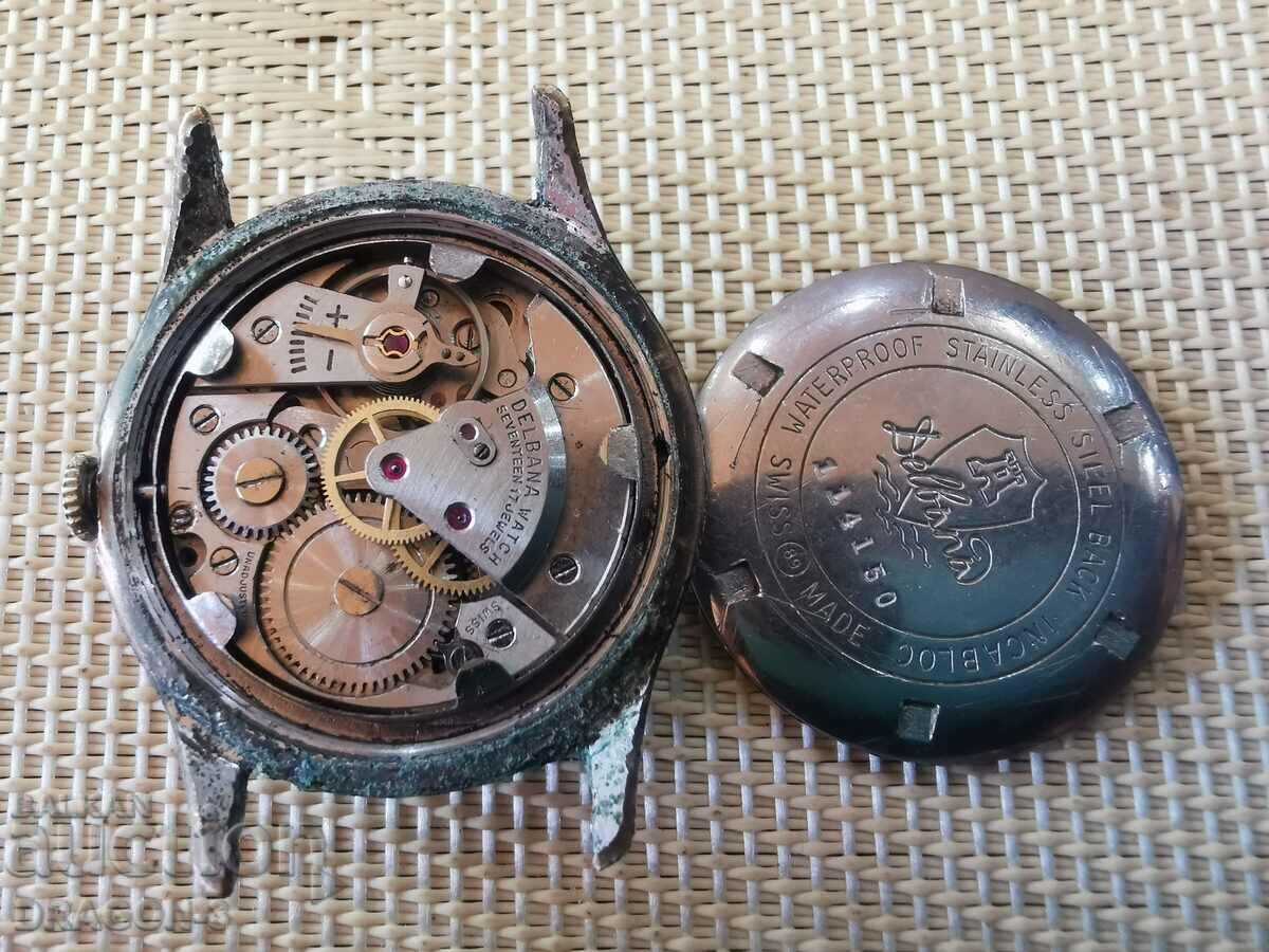 DELBANA with price 55.00 BGN | € 28.12 DELBANA with price 55.00 BGN | € 28.12