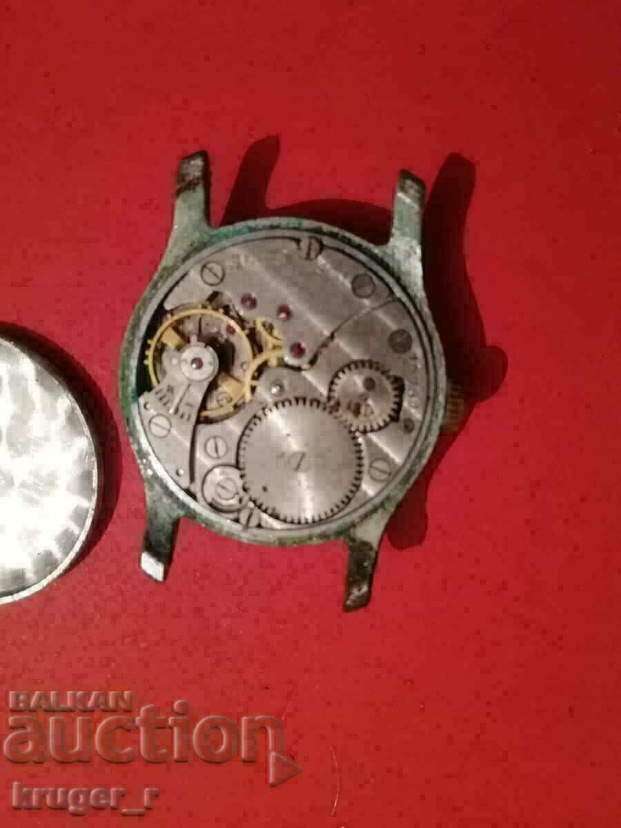 Ceas IARNA. - 7 Ceas IARNA. - 7