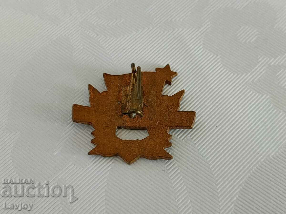 Political social badge Email with price 15.00 BGN | € 7.67