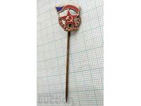11086 Insigna - Cehoslovacia URSS - email bronz