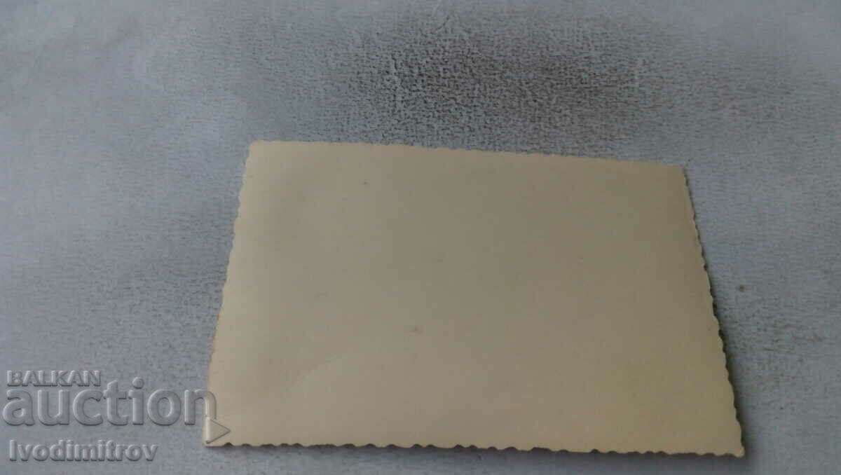 Photo Man and woman on the lawn with price 1.45 BGN | € 0.74 Photo Man and woman on the lawn with price 1.45 BGN | € 0.74