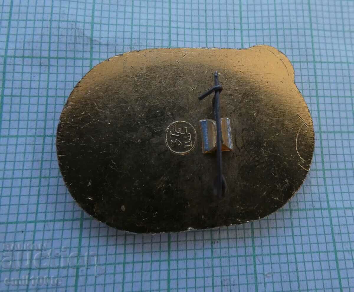 Delivery of Badge - Children's Pioneer Justice Football Tournament