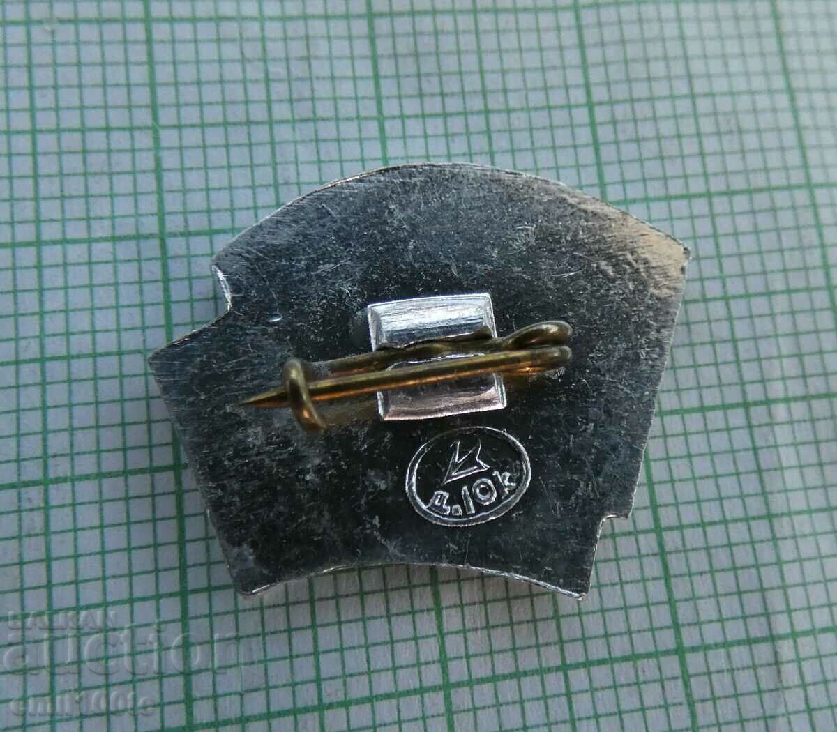 Auction  Badge - 50 years VLKSM