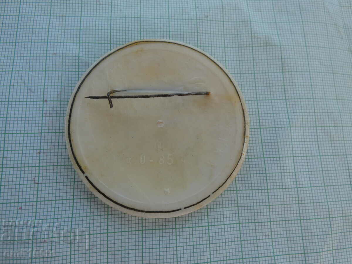 Delivery of Badge - VLKSM BAM