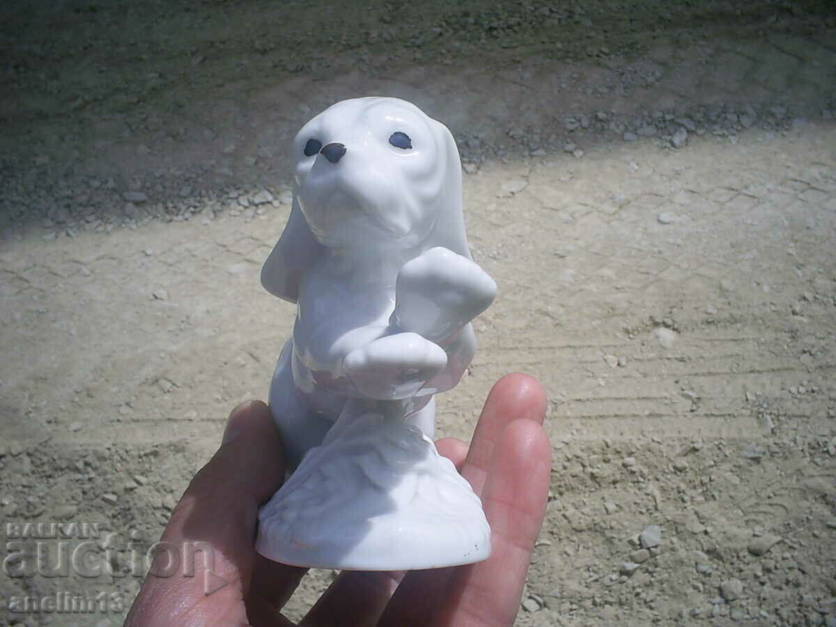 Auction STAR PORCELAIN DOG Auction STAR PORCELAIN DOG