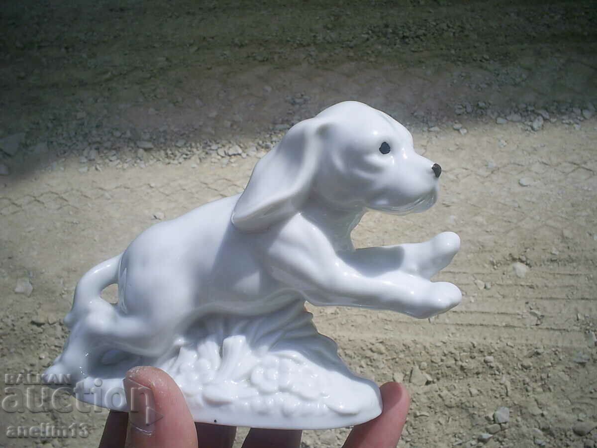 STAR PORCELAIN DOG - 5 STAR PORCELAIN DOG - 5