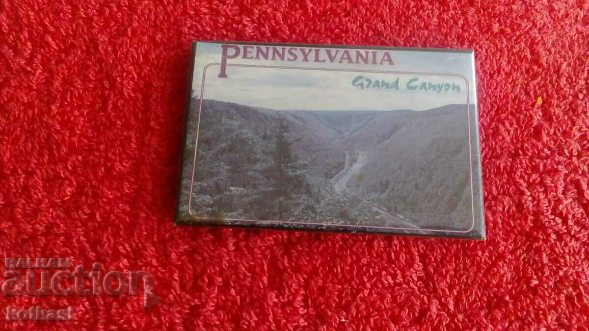 Fridge Magnet USA Pennsylvania Grand Canyon - 5