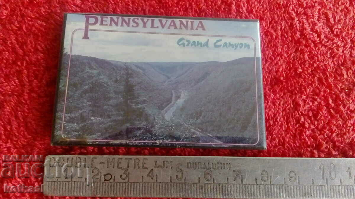 Magnet pentru frigider SUA Pennsylvania Grand Canyon