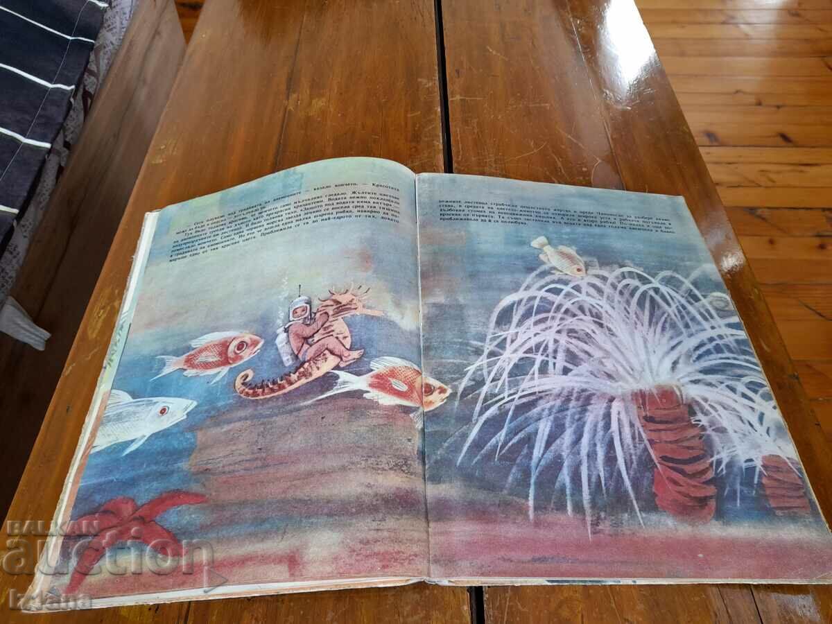 Δημοπρασία Chiponosco παιδικό βιβλίο